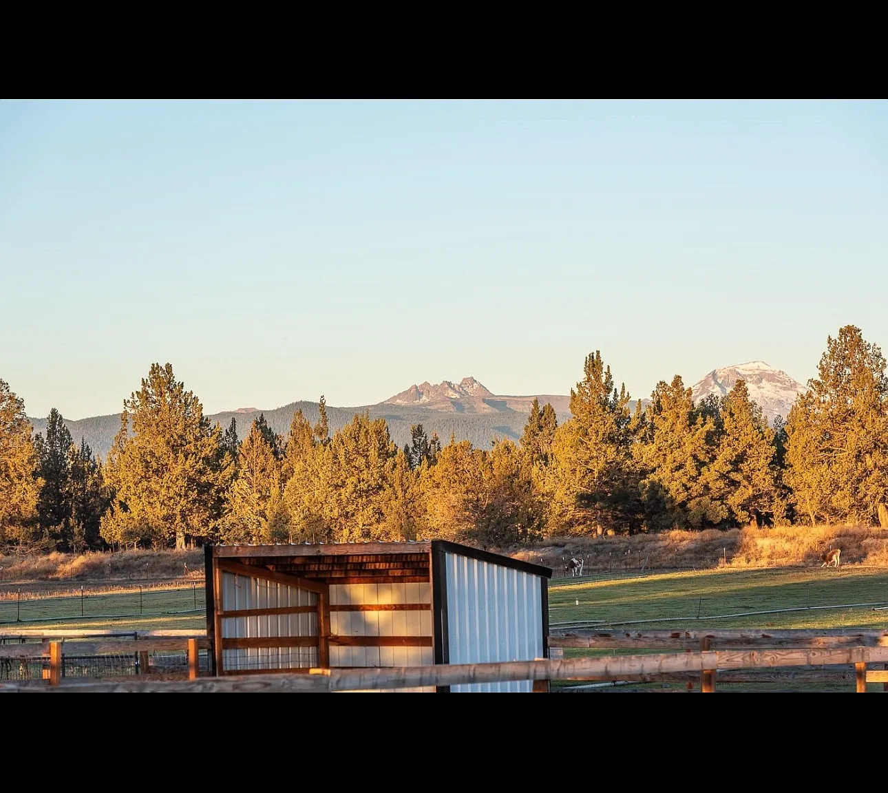 5 bed, 2500 sqft, $7,500 — Photo 3