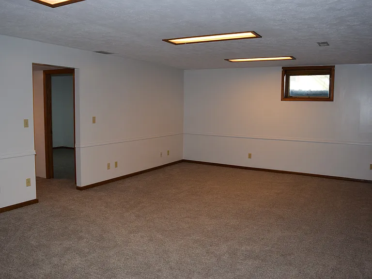 Basement living room