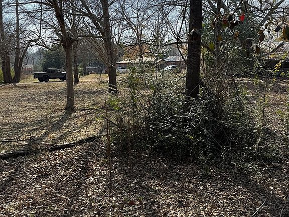 2nd image of LOT 5&6 Pecan St