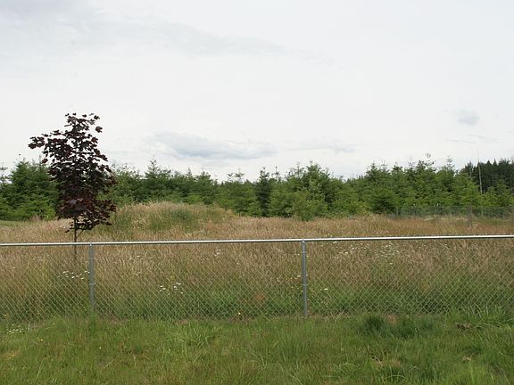 Back View (More Photos to Come!)