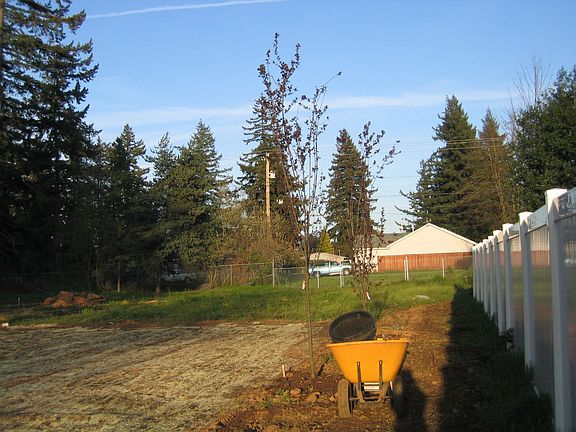front yard