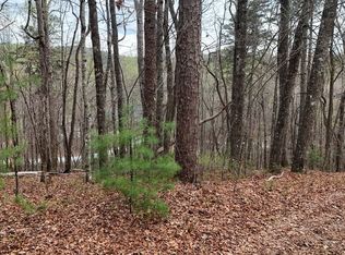 8 Settlement Ln, Tiger, GA 30576
