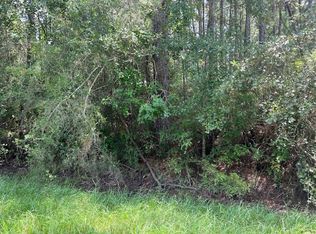 LOT 3 Bill Nelson Rd, Wewahitchka, FL 32465