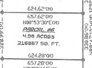 E Sidney Rd, Stanton, MI 48888