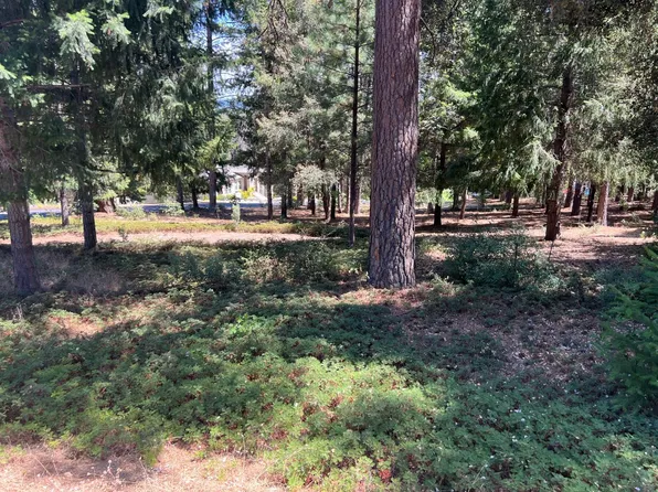 4400 Santa Croce Ct, Foresthill, CA 95631
