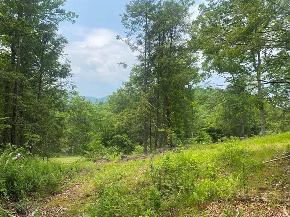 Curry Rd, Dunmore, WV 24934