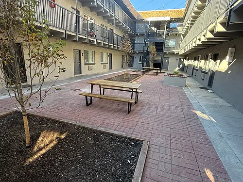 Montego Apartments Photo 1