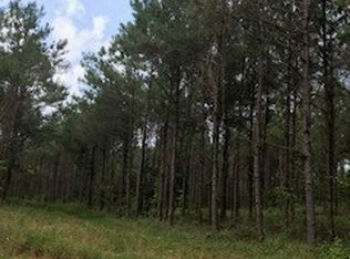 2200 McNeil Rd, Avinger, TX 75630