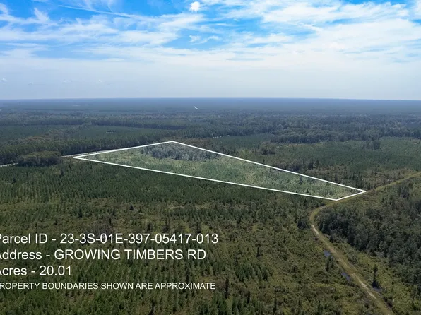 13 Growing Timbers Rd, Crawfordville, FL 32327