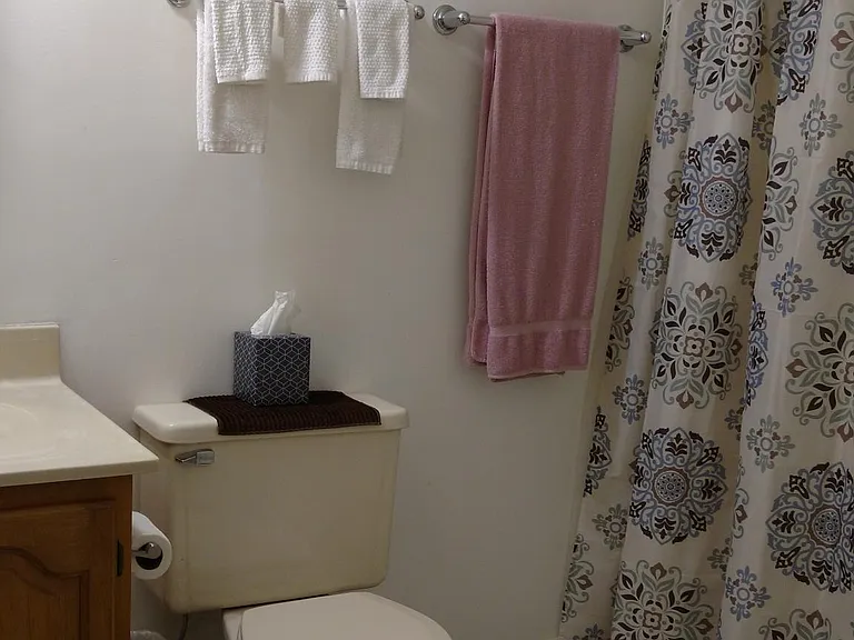 Bathroom Shoer only