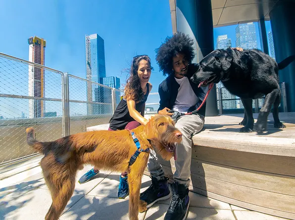 555 10th Avenue image 4 of 13