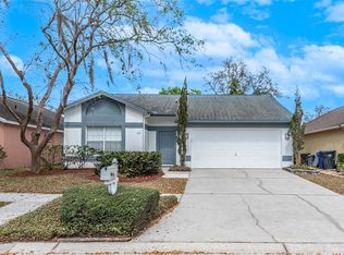 4111 Moreland Dr, Valrico, FL 33596