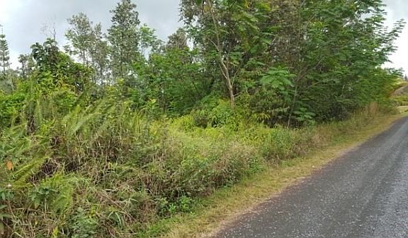 2nd image of 15-1835 9th Ave Lot 1796