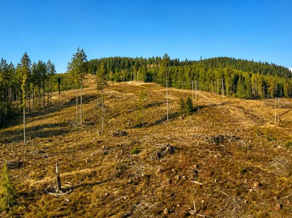 0 B-1000 Road, Sequim, WA 98382
