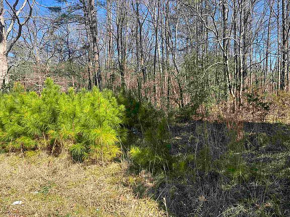 3rd image of 0 Union Rd Tract C