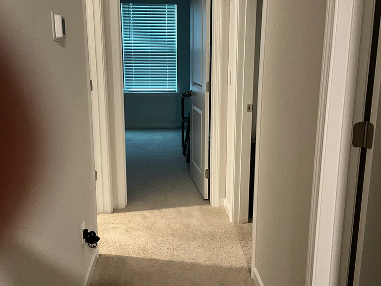 1219 Evelynnview Ln #1219 — Photo 25