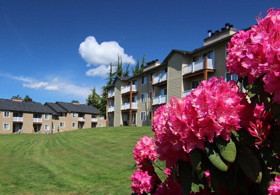 1st image of 1900 Black Lake Blvd SW APT Jj12