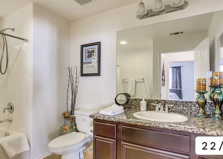 30312 Carob Tree Cir — Photo 36