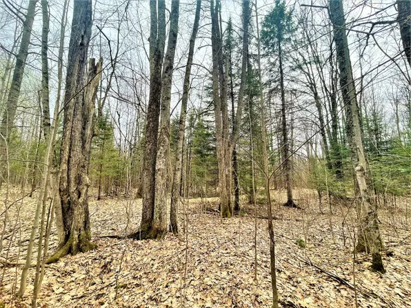 N11286 Tower Rd, Phillips, WI 54555