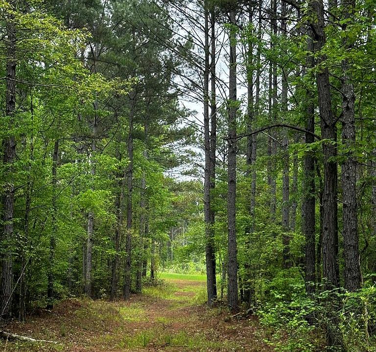 1st image of Highway 331