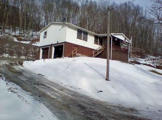 19557 Back Mountain Rd, Durbin, WV 26264