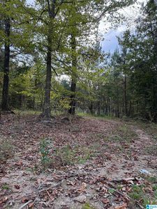 4 Sweet Apple Rd #7, Pell City, AL, 35128