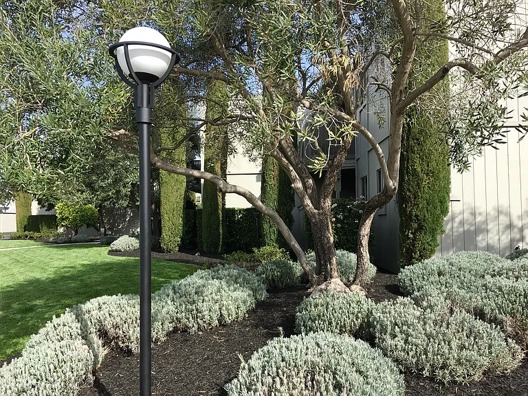 Olive Tree Apartments — Photo 21
