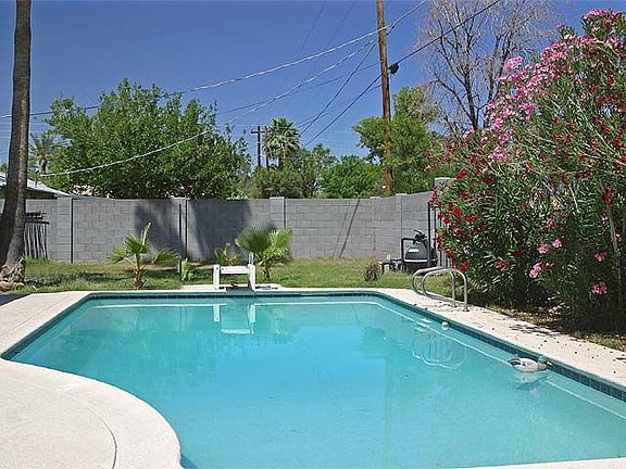 Very large backyard pool.