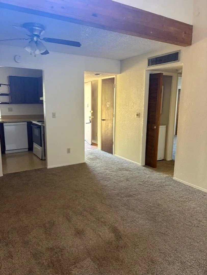 dg3708c — Photo 4