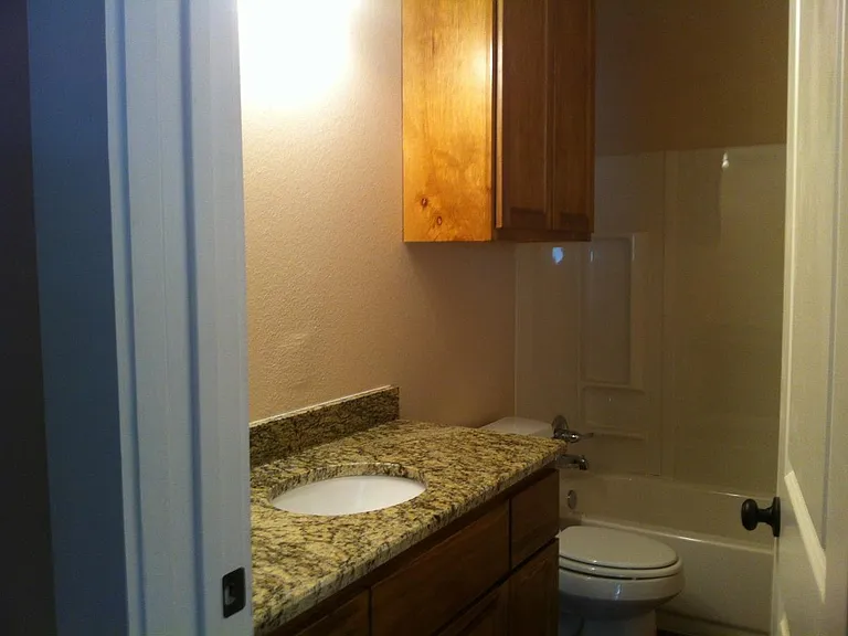 Hall Bathroom