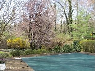 Pool and yard