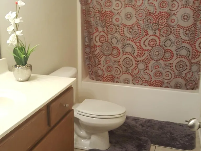 Guest full bath