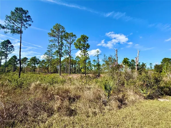 LOT 8 Honeysuckle St Lot 800, Eustis, FL 32736