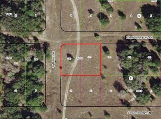 61 N Tighe Dr, Inverness, FL 34453