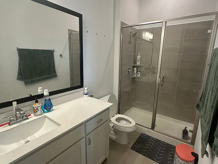 Downstairs full bath with walking shower