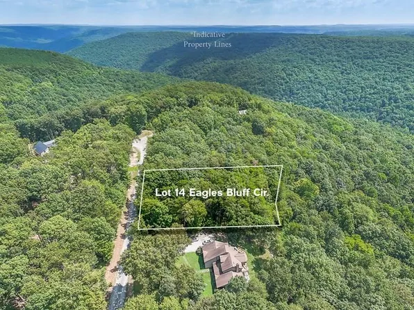 14 Eagle Bluff Cir, Spencer, TN 38585