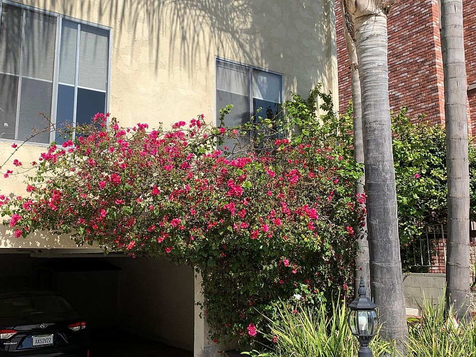 1st image of 9169 Alcott St APT 1