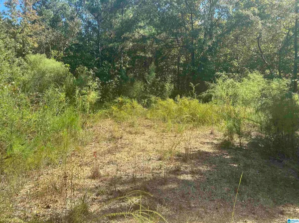 4 Mill Creek Rd, Nauvoo, AL 35578
