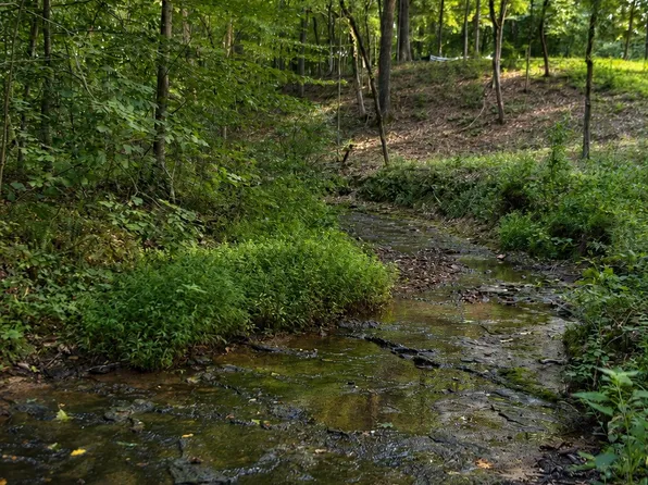 7368 Overbey Rd, Fairview, TN 37062