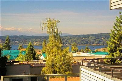 View in Early Spring