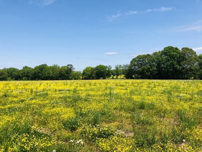 0 Dugout Rd Lot 7, Summertown, TN, 38483