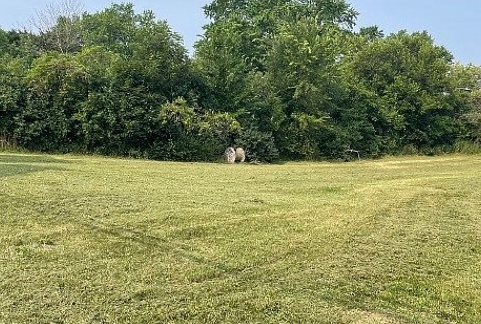 1st image of 226 Bluff Ct