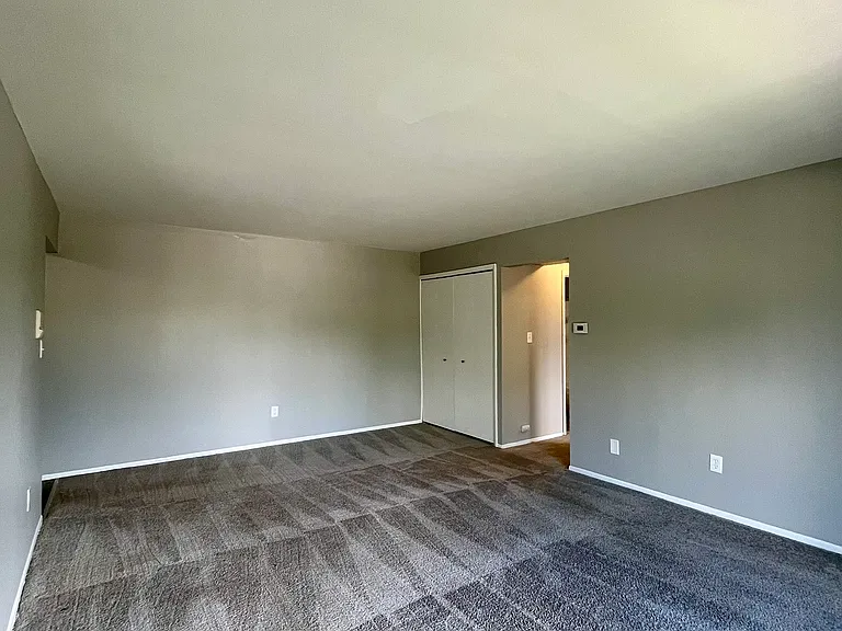 Sibley Road Apartments - N — Photo 5