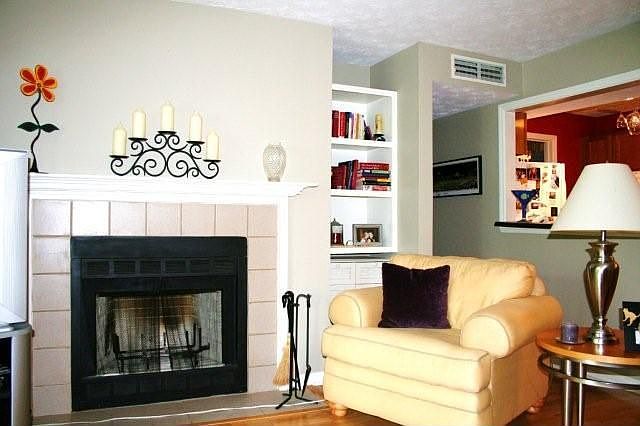 Den with fireplace