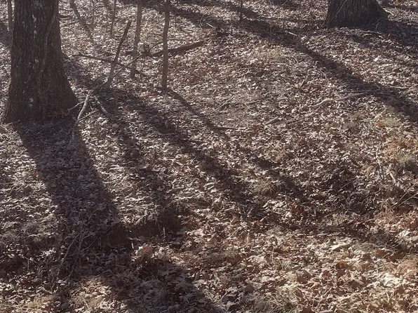 1 Ridge Cliff Dr Lot 49, Monteagle, TN 37356