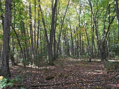 1 Rainbow Dr, East Tawas, MI, 48730