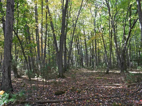 1 Rainbow Dr, East Tawas, MI 48730