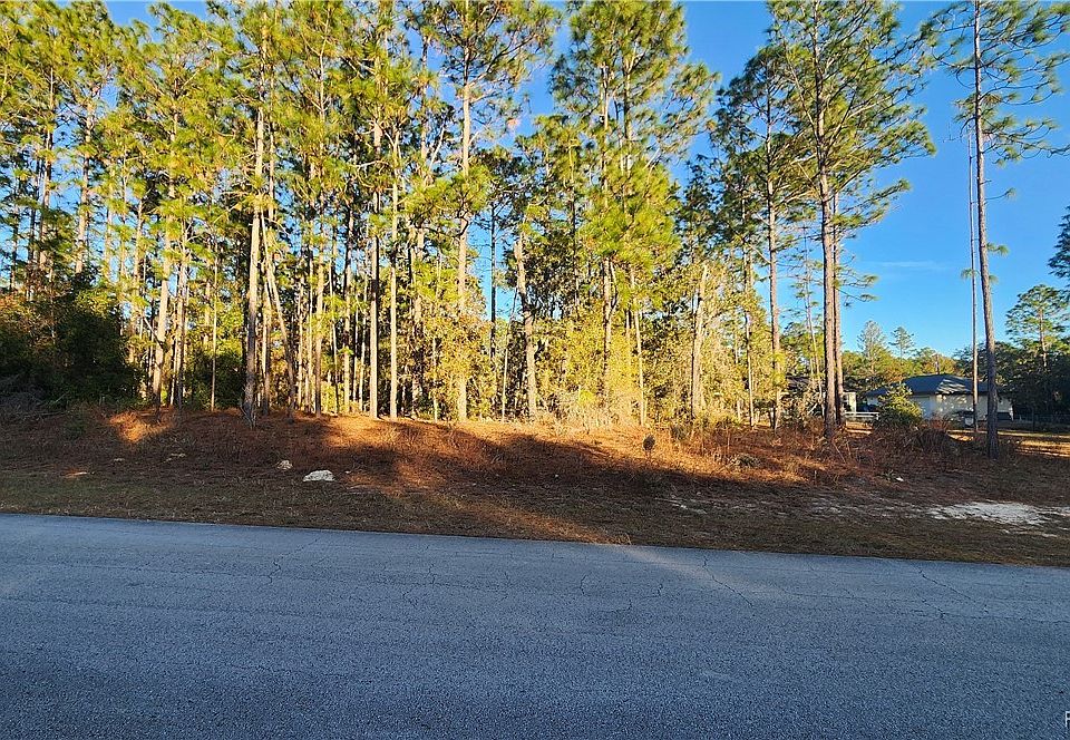 1st image of 7655 N Maltese Dr