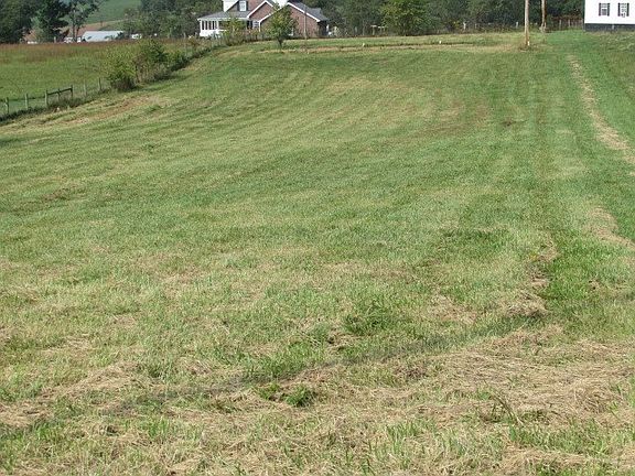 5th image of 1445 Cripple Creek Rd