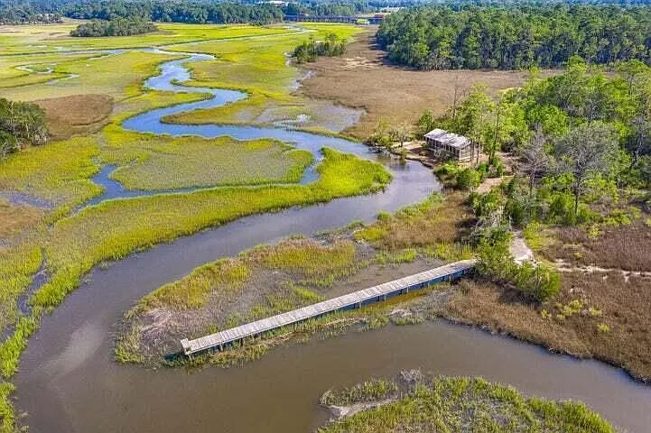 808 Forrest Dr — Photo 3